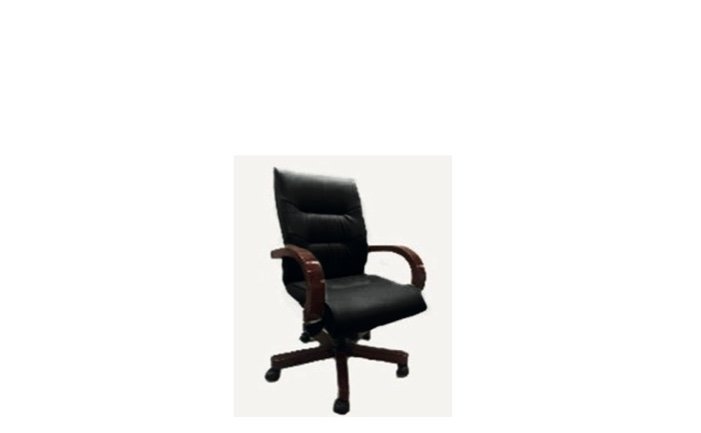 PARMA II CT WL